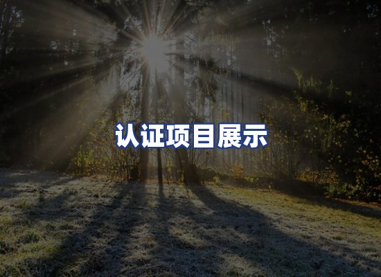 认证项目展示